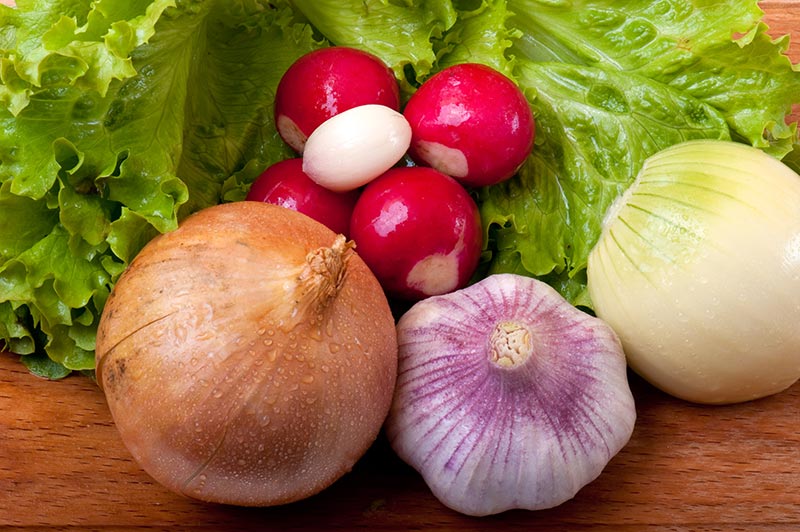 onion-garlic