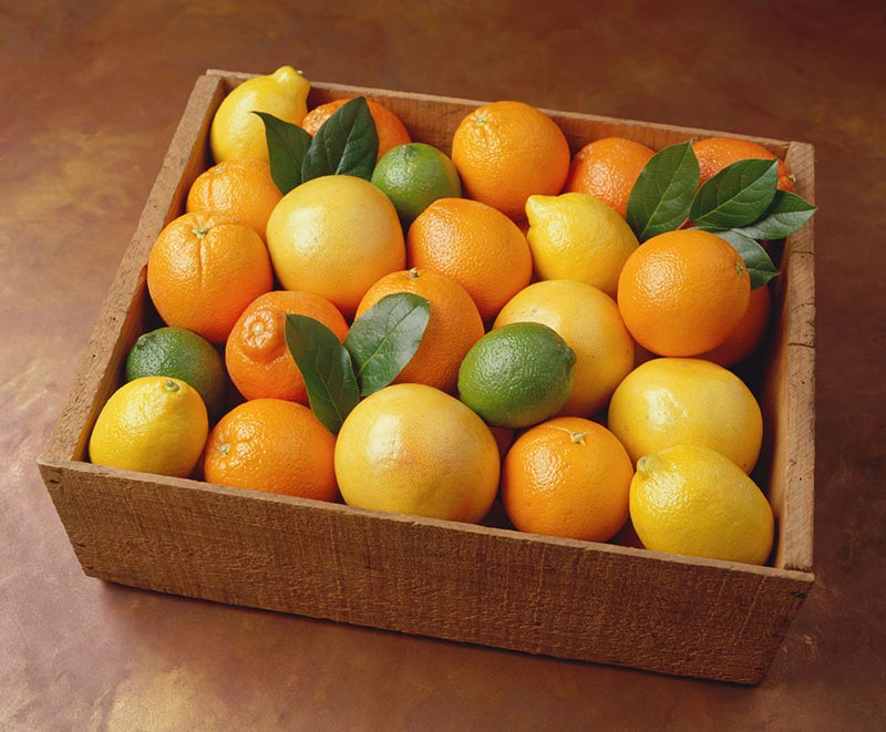 Orange-Lemon