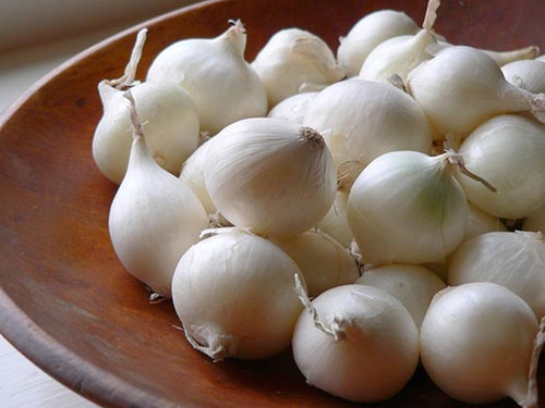 White-Onion